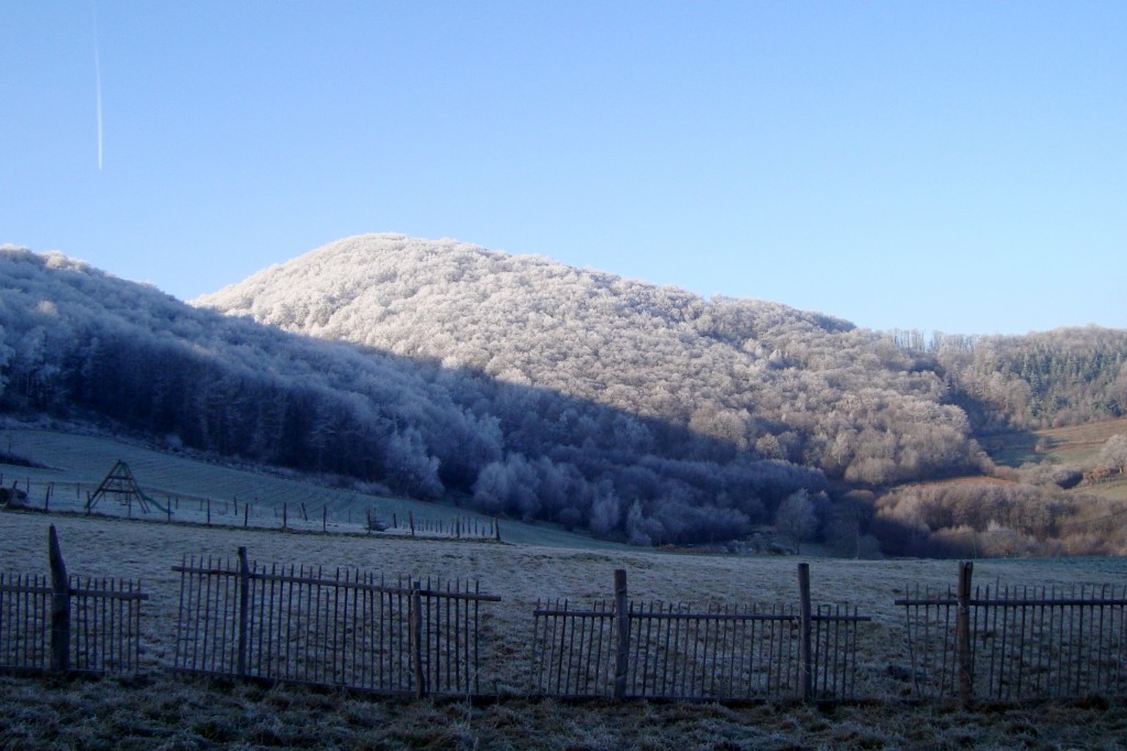 Chateauvieux, 04-01-09, 11-57.jpg